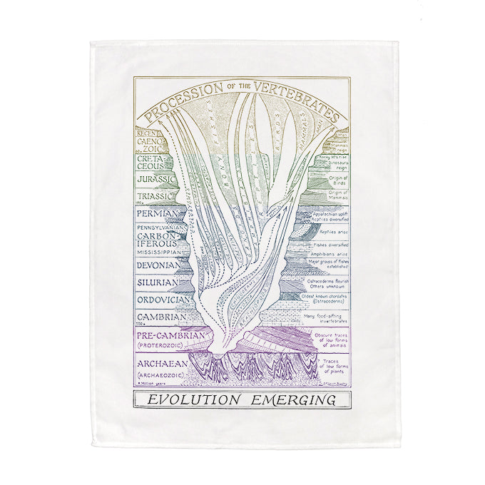The Scientific Tea Towels Collection