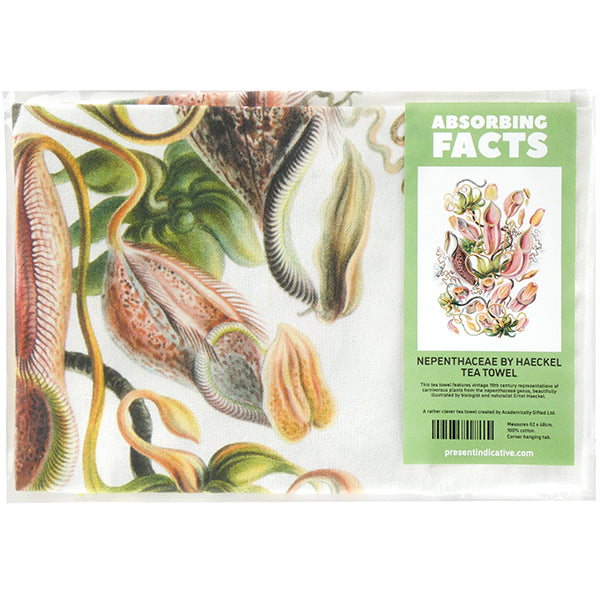 Nepenthaceae by Haeckel Tea Towel - 6 pack