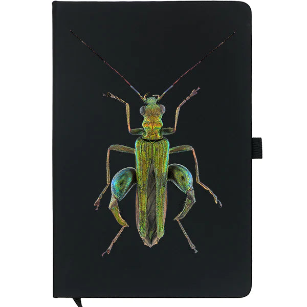 Oedemera Nobilis Notebook