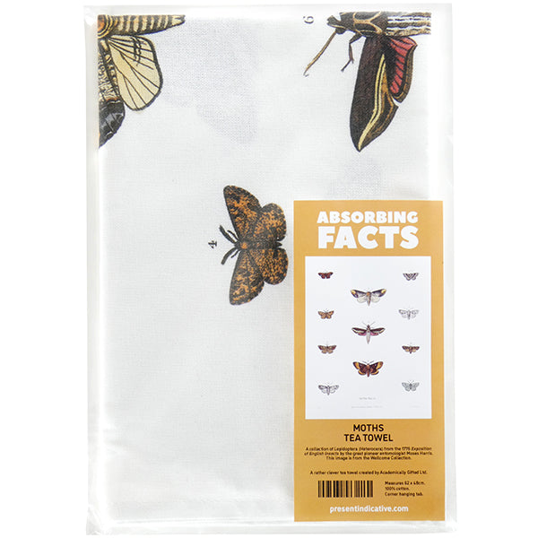 Moths Tea Towel - 6 pack
