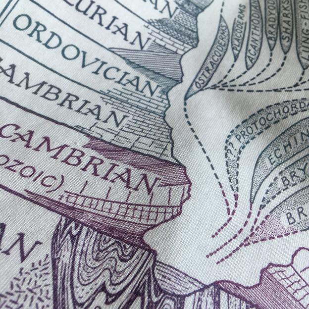 Evolution Emerging Women's Fitted T-shirt