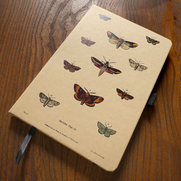 Moths Notebook