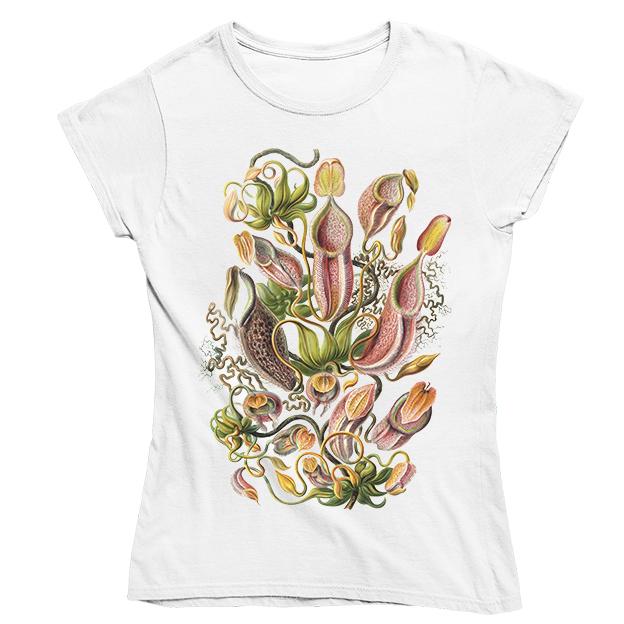 Nepenthaceae by Haeckel Women's Fitted T-shirt