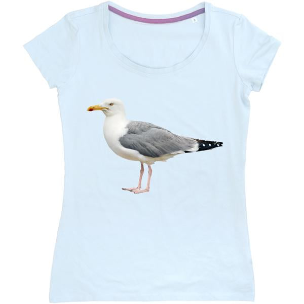 Herring Gull Women's Fitted T-shirt