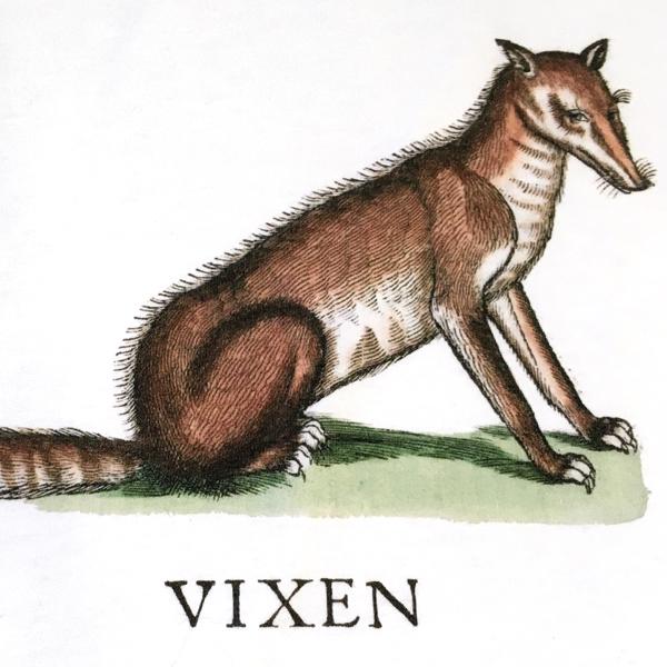 Vixen Women's Fitted T-shirt