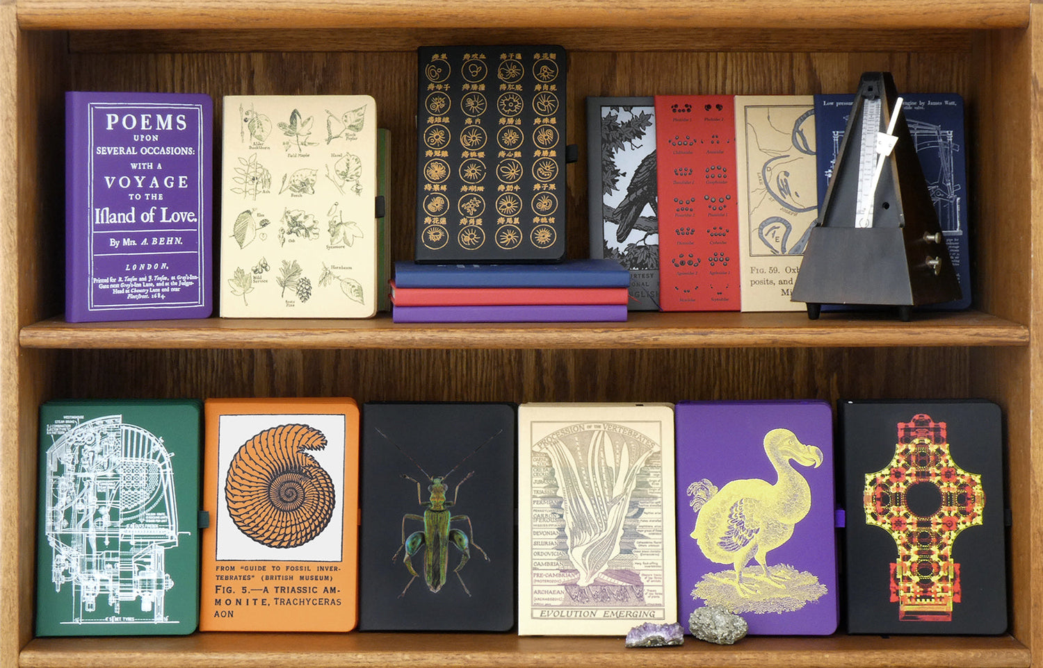 Curious Notebooks