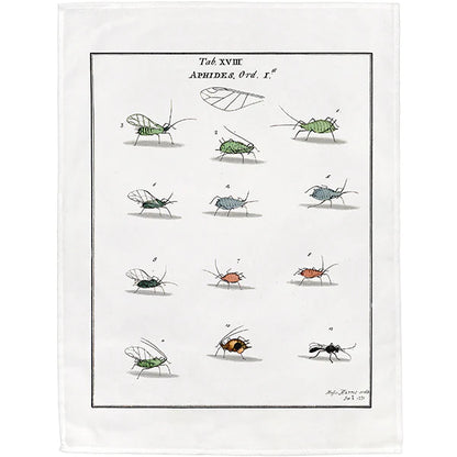 Aphids Tea Towel - 6 pack