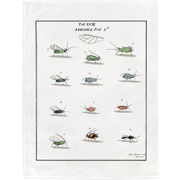 The Natural History Tea Towels Collection - part 2