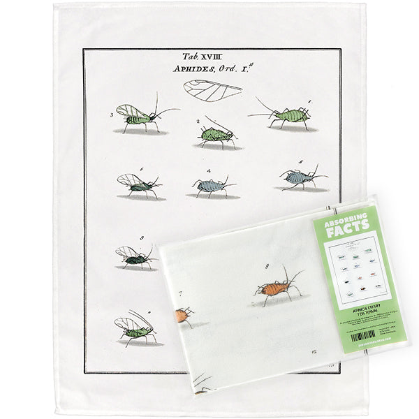 Aphids Tea Towel - 6 pack