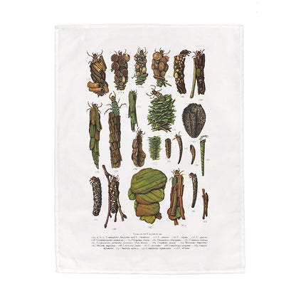 Caddis Fly Larvae Tea Towel - 6 pack