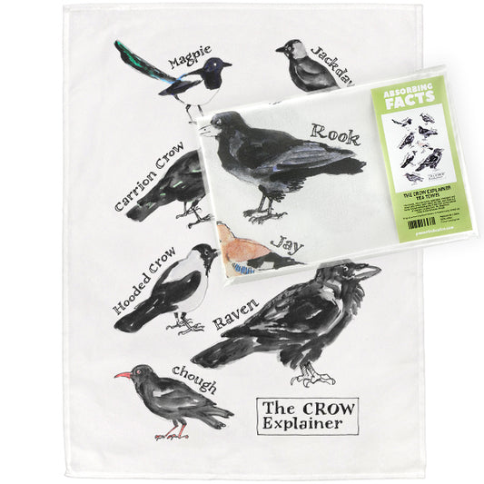 Crow Explainer Tea Towel - 6 pack
