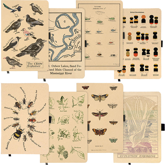 Curious Notebooks - the Natural History Collection
