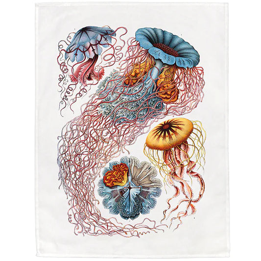 Discomedusae Tea Towel - 6 pack