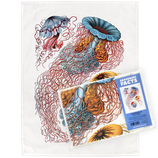 Discomedusae Tea Towel - 6 pack