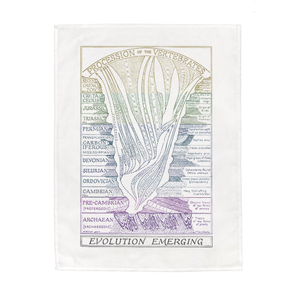 Evolution Emerging Tea Towel - 6 pack