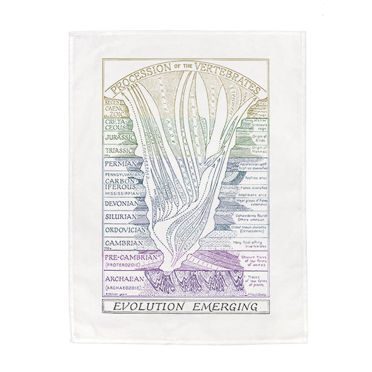Evolution Emerging Tea Towel - 6 pack