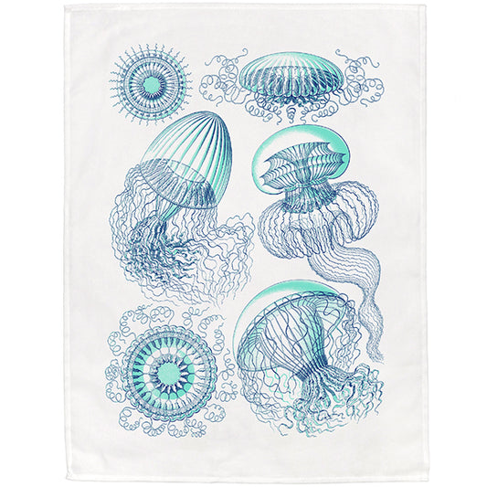 Haeckel's Floating Jellyfish Tea Towel - 6 pack