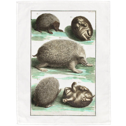 Hedgehog Tea Towel - 6 pack