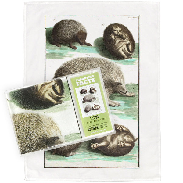 Hedgehog Tea Towel - 6 pack