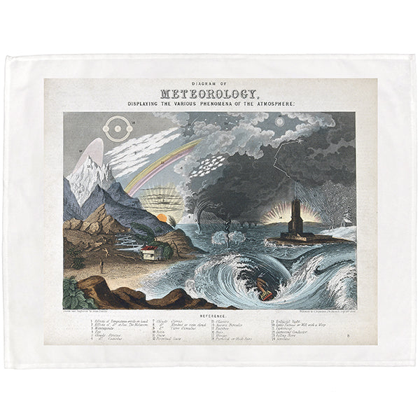 The Natural History Tea Towels Collection - part 1
