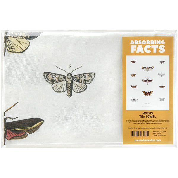 Moths Tea Towel - 6 pack