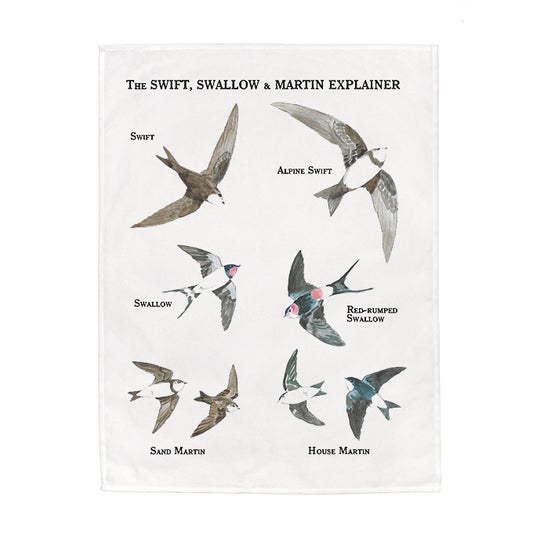 The Swift, Swallow & Martin Explainer Tea Towel - 6 pack