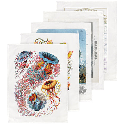 The Natural History Tea Towels Collection - part 1