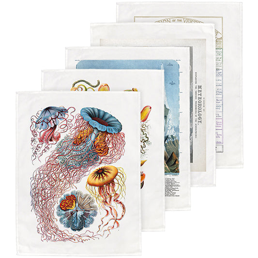 The Natural History Tea Towels Collection - part 1