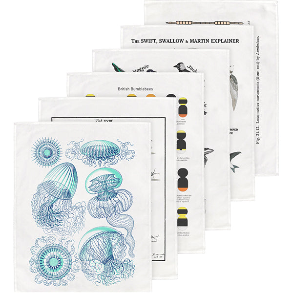 The Natural History Tea Towels Collection - part 2