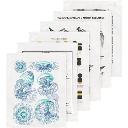 The Natural History Tea Towels Collection - part 2