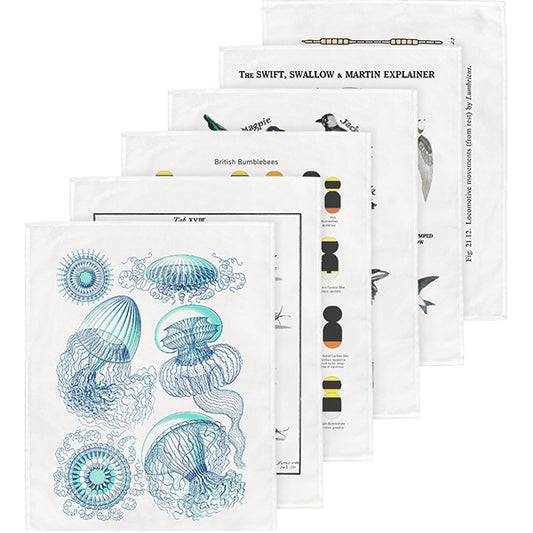 The Natural History Tea Towels Collection - part 2