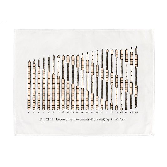 Worm Locomotion Tea Towel - 6 pack