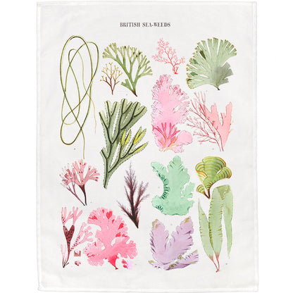 British Seaweeds Tea Towel - 6 pack