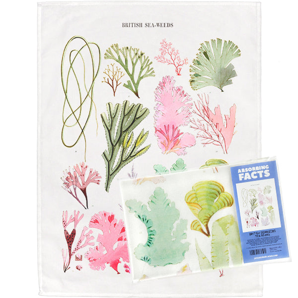 British Seaweeds Tea Towel - 6 pack
