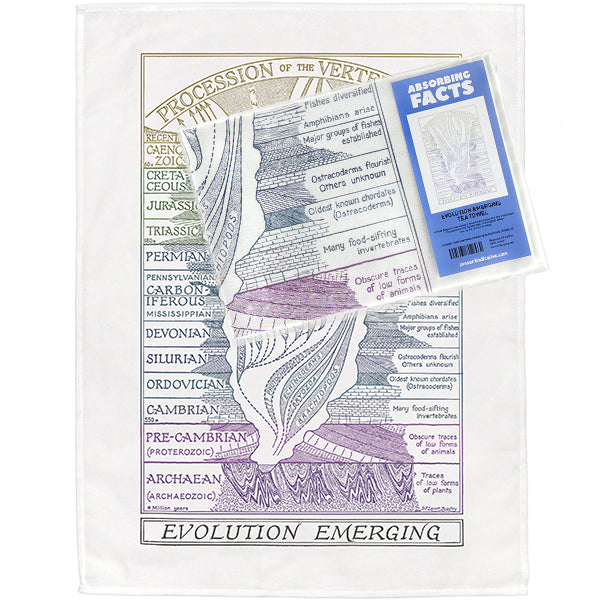 Evolution Emerging Tea Towel - 6 pack