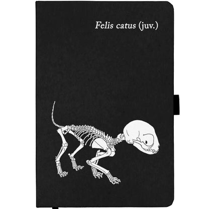Curious Notebooks - the Science Collection