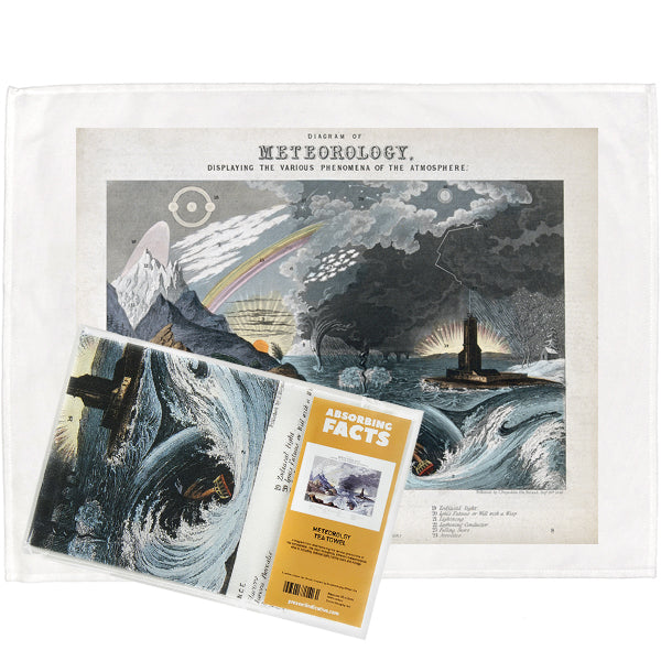 Meteorology Tea Towel - 6 pack