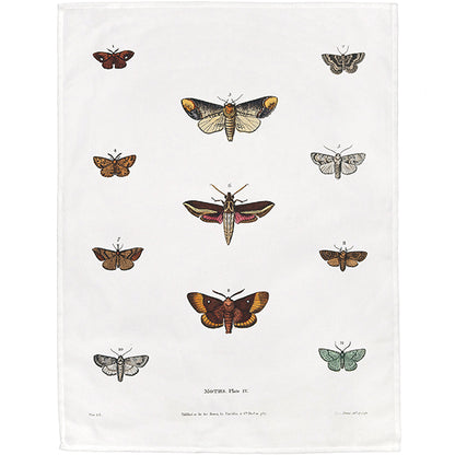 Moths Tea Towel - 6 pack