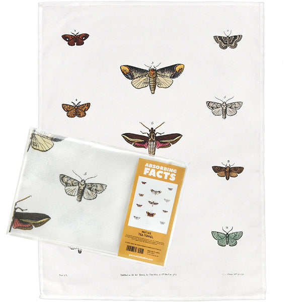 Moths Tea Towel - 6 pack