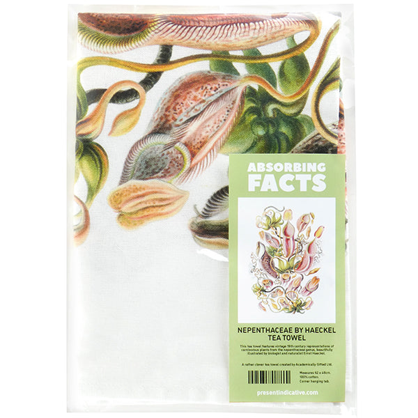 Nepenthaceae by Haeckel Tea Towel - 6 pack