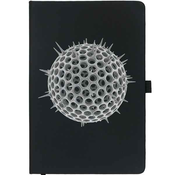 Curious Notebooks - the Science Collection