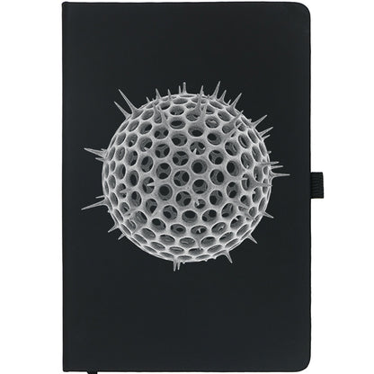 Curious Notebooks - the Science Collection