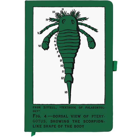 Sea Scorpion Notebook