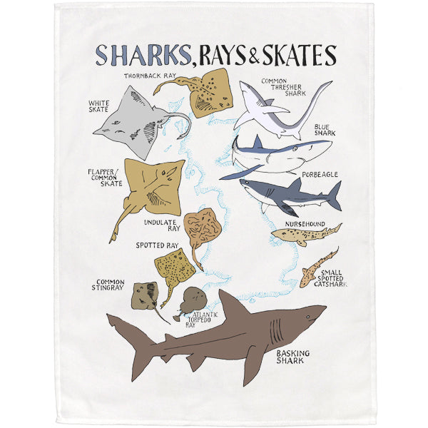 Sharks, Rays and Skates Tea Towel - 6 pack