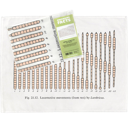 Worm Locomotion Tea Towel - 6 pack