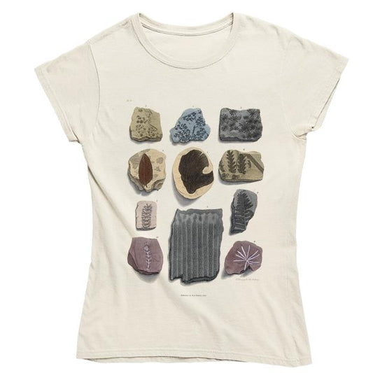 Eleven Fossils Women's Fitted T-shirt
