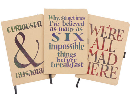 Curiouser & Curiouser Notebook
