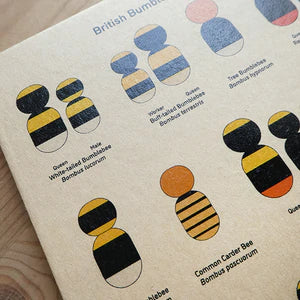 British Bumblebees Notebook