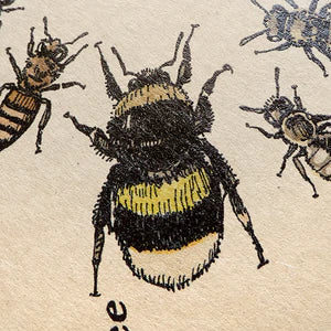 Ring of Bees Notebook