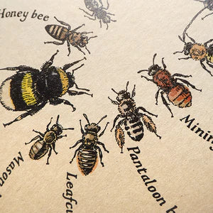 Ring of Bees Notebook
